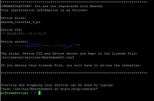 Succsefuly Installing Weaved on the Raspberry Pi