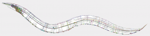 C elegans Neuro Map