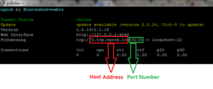 Putty Access your Pi Away From your Home or Local Network