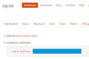 ngrok-install-authtoken